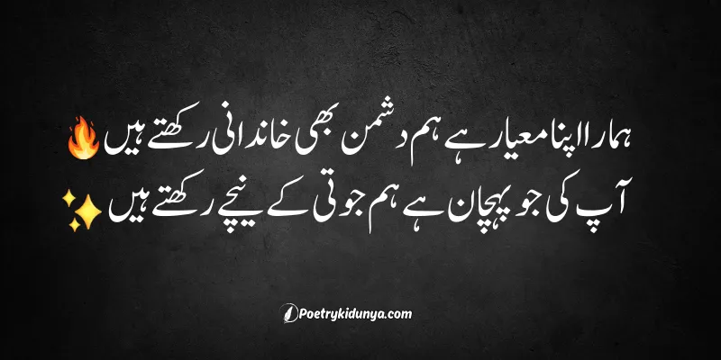 Attitude Poetry in Urdu Copy Paste