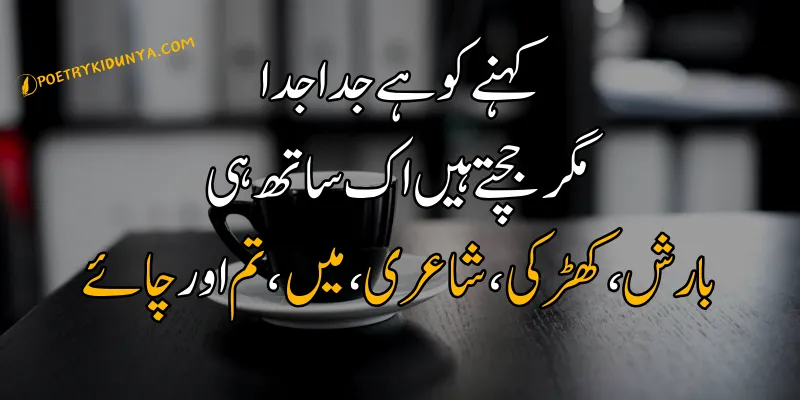 Chai Shayari - Best Tea Poetry in Urdu 2 lines - Chai poetry Barish aur chai poetry in Urdu