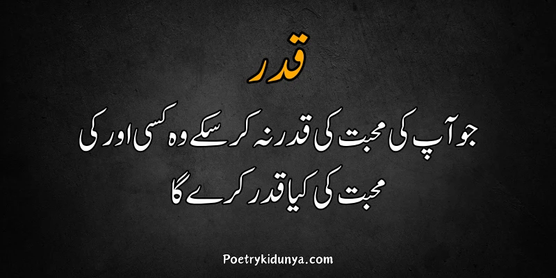 Qadar poetry in Urdu 2 lines-Qadar Quotes Beautifull waqt ki qadar poetry