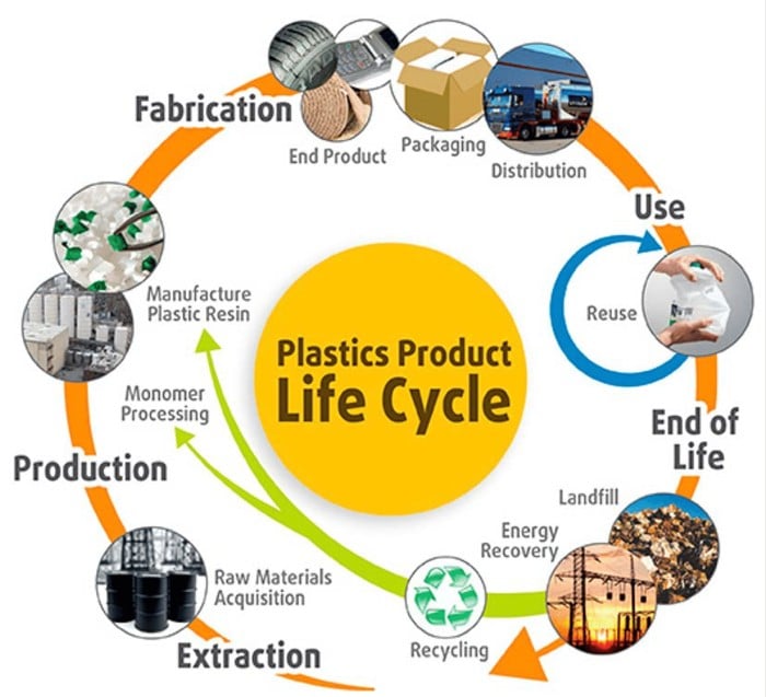 Beyond Single-Use Plastics: The Lifespan of Plastic and Why Recycling Matters