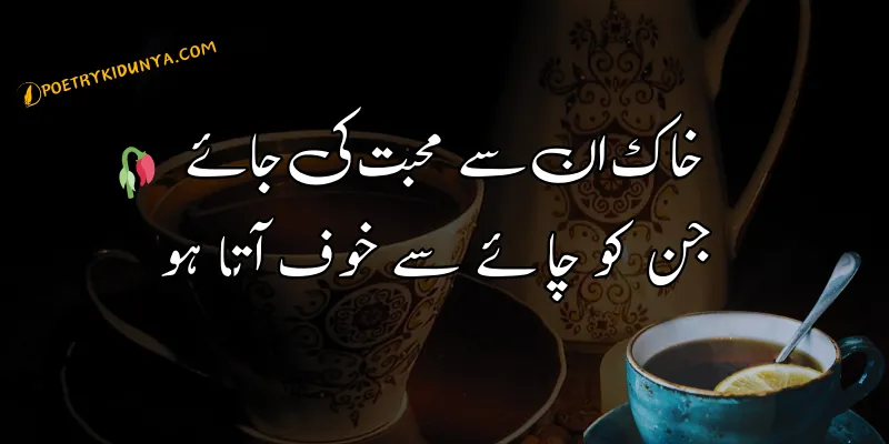Chai Shayari - Best Tea Poetry in Urdu 2 lines - Chai poetry Chai Shayari in urdu