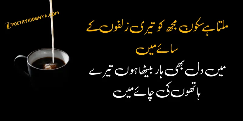 Chai Shayari - Best Tea Poetry in Urdu 2 lines - Chai poetry Chai poetry in Urdu Copy Paste