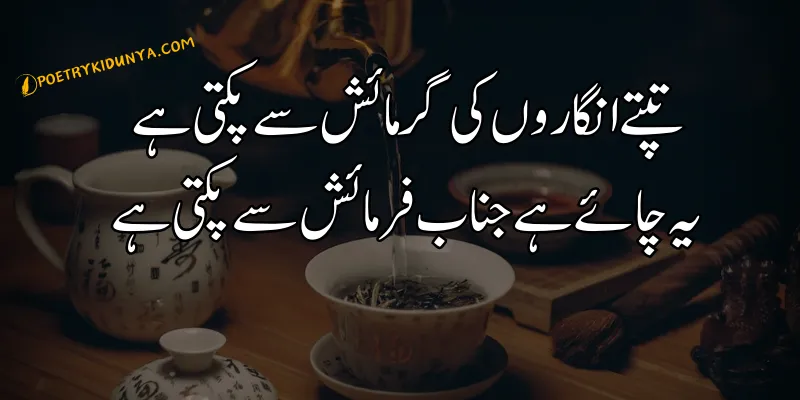 Chai Shayari - Best Tea Poetry in Urdu 2 lines - Chai poetry Chai poetry