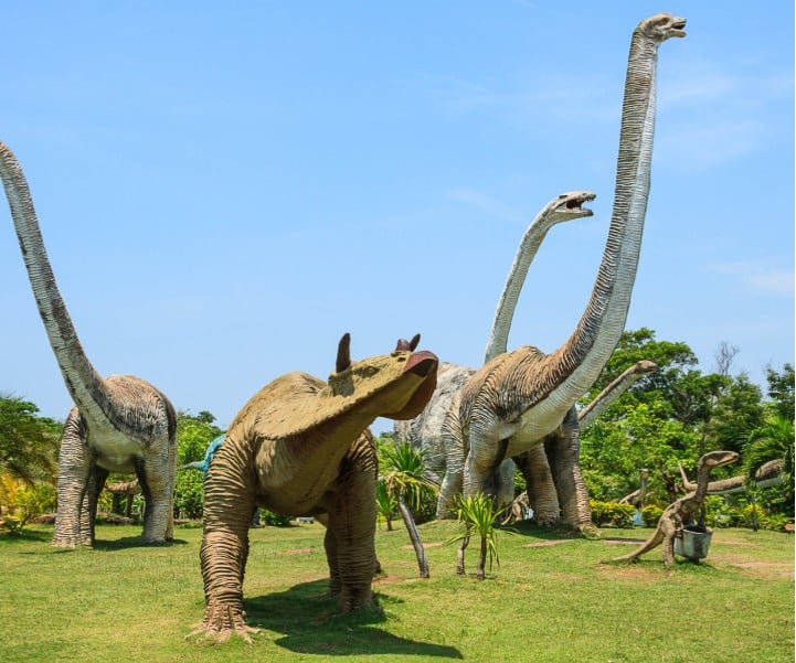 Comparing Permanent vs. Temporary Dinosaur Installations in Retail Spaces