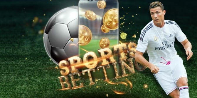 Definition of bookmaker odds in betting Discover The Betting Odds From Bookmakers Available Today