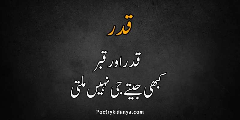 Qadar poetry in Urdu 2 lines-Qadar Quotes Emotional urdu qadar poetry