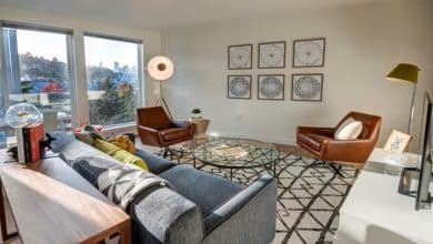 Pet Friendly Apartments at Lakeview: Comfortable Living Near Seattle