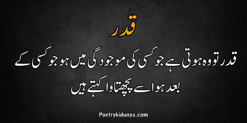 Qadar poetry in Urdu 2 lines-Qadar Quotes qadar poetry