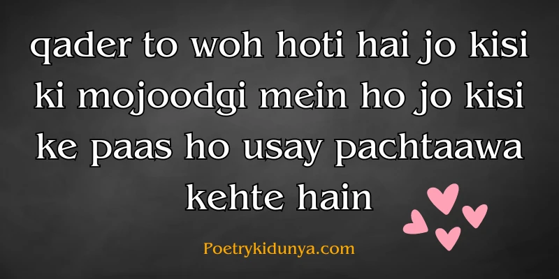 Qadar poetry in Urdu 2 lines-Qadar Quotes Qadar Poetry in roman english