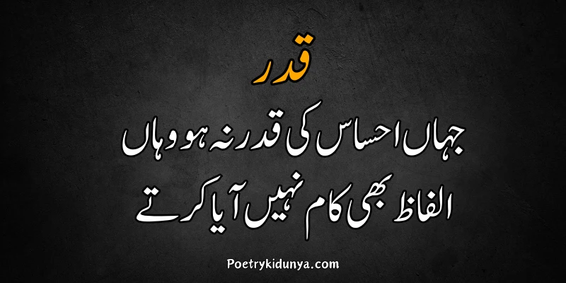 Qadar poetry in Urdu 2 lines-Qadar Quotes Qadar quotes Qadar poetry in Urdu 2 lines-Qadar Quotes