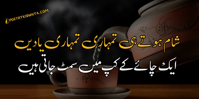 Chai Shayari - Best Tea Poetry in Urdu 2 lines - Chai poetry Sham ki chai poetry