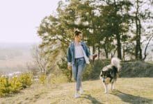 Why Walking Is the Most Underrated Athletic Activity of the 21st Century