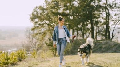 Why Walking Is the Most Underrated Athletic Activity of the 21st Century