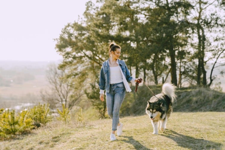 Why Walking Is the Most Underrated Athletic Activity of the 21st Century