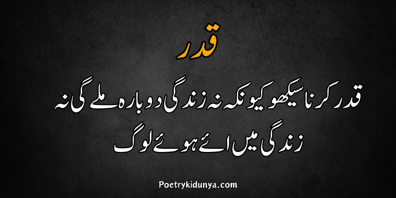 Qadar poetry in Urdu 2 lines-Qadar Quotes be qadar poetry in Urdu