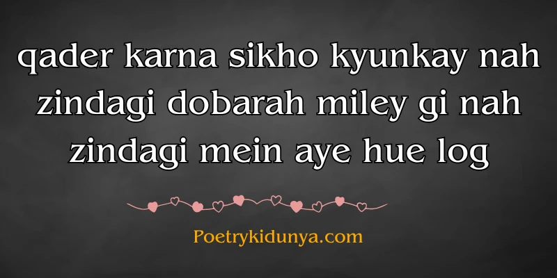 Qadar poetry in Urdu 2 lines-Qadar Quotes be qadar poetry in roman english