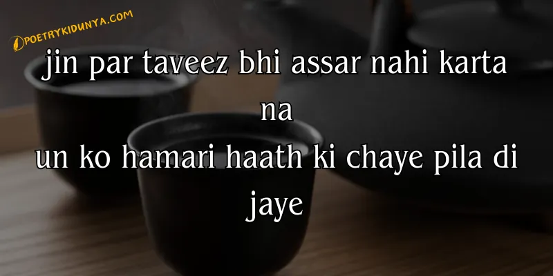 Chai Shayari - Best Tea Poetry in Urdu 2 lines - Chai poetry beautiful girl chai poetry in roman english