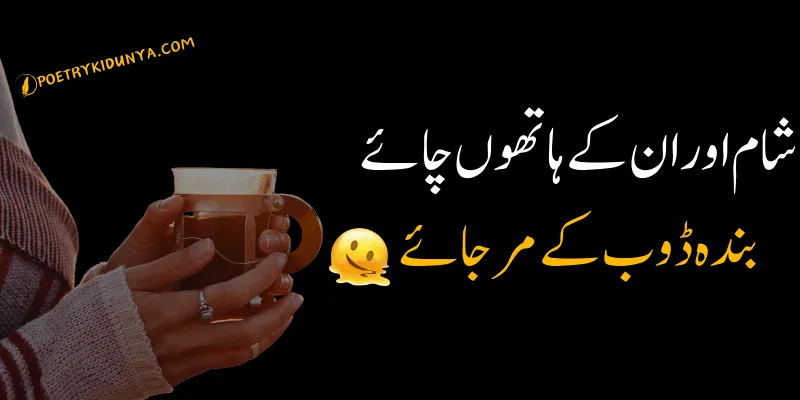 Chai Shayari - Best Tea Poetry in Urdu 2 lines - Chai poetry beautiful poetry on chai in Urdu