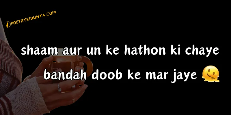 Chai Shayari - Best Tea Poetry in Urdu 2 lines - Chai poetry beautiful poetry on chai in roman english