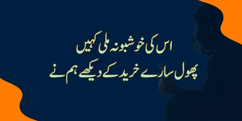 bewafa poetry in urdu 2 line