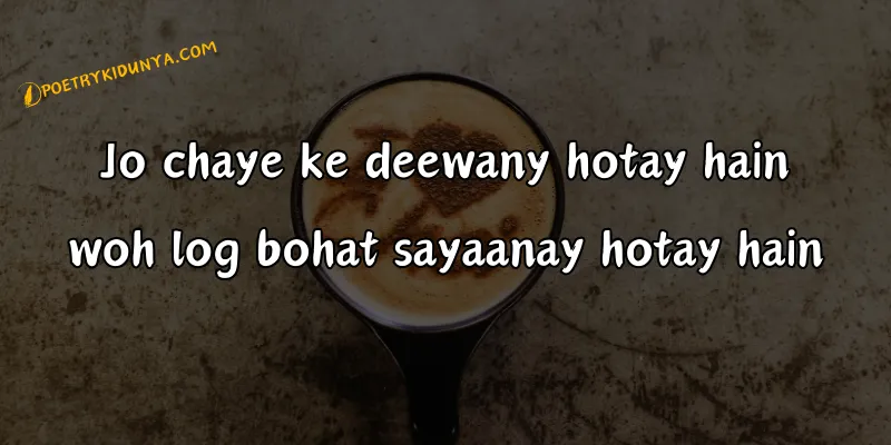 Chai Shayari - Best Tea Poetry in Urdu 2 lines - Chai poetry chai poetry in roman english text SMS