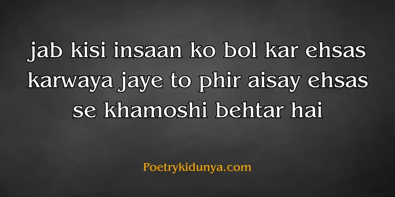 Qadar poetry in Urdu 2 lines-Qadar Quotes ehsaas qadar poetry in roman english