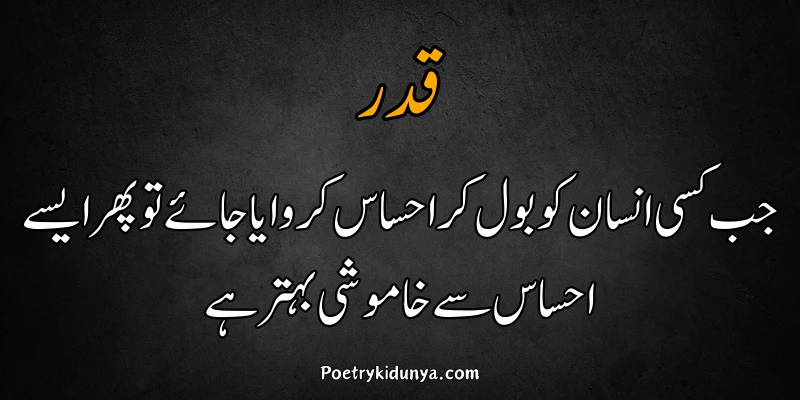 Qadar poetry in Urdu 2 lines-Qadar Quotes ehsaas qadar poetry