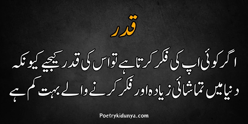 Qadar poetry in Urdu 2 lines-Qadar Quotes insan ki qadar poetry
