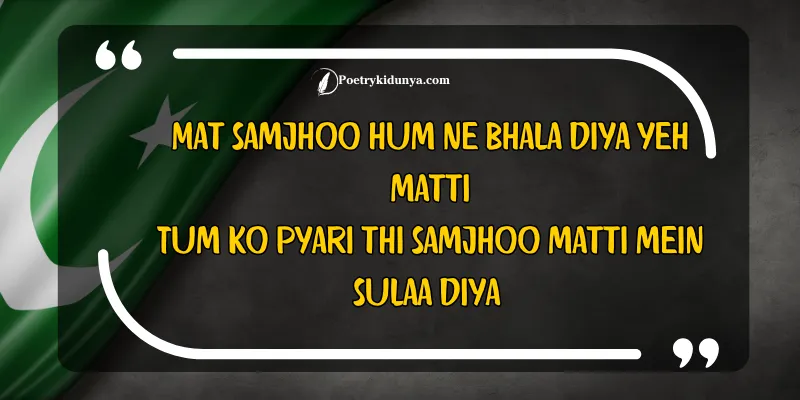 Shaheed poetry in Urdu- Martyrs quotes martyrs death quote in roman english
