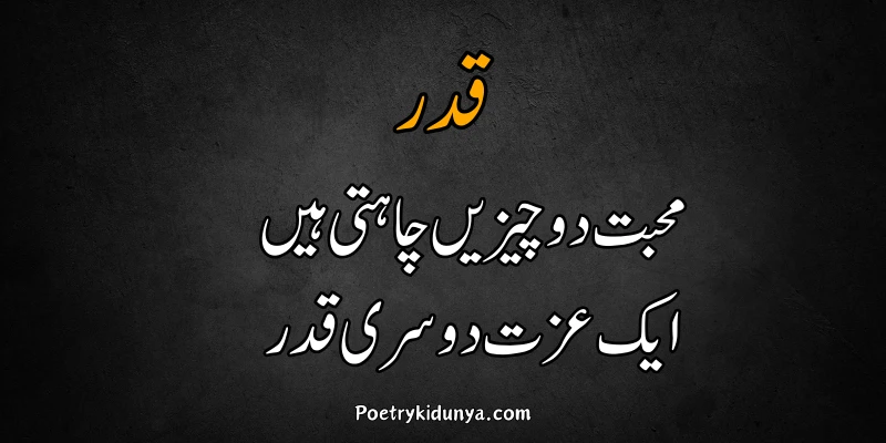 Qadar poetry in Urdu 2 lines-Qadar Quotes pyar ki qadar poetry in Urdu 2 lines