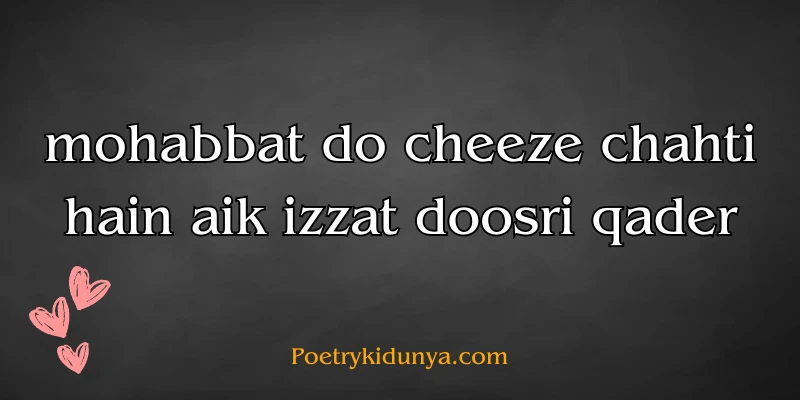 Qadar poetry in Urdu 2 lines-Qadar Quotes pyar ki qadar poetry in roman english 2 lines