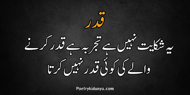 Qadar poetry in Urdu 2 lines-Qadar Quotes qadar poetry about life