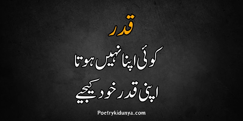 Qadar poetry in Urdu 2 lines-Qadar Quotes qadar shayari 2 lines