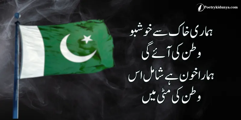 Shaheed poetry in Urdu- Martyrs quotes quote in urdu about army soliders salute pakistan flag