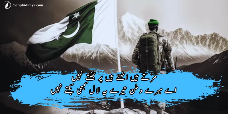 Shaheed poetry in Urdu- Martyrs quotes Shaheed poetry in Urdu